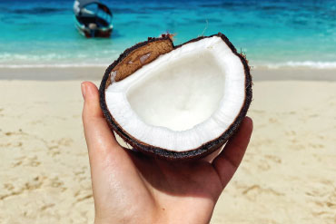 Aestibulum ipsum a ornare car