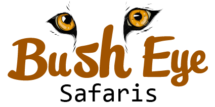 Bush Eye Safaris