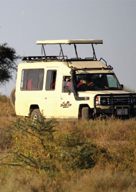 Bougainvilleas on Lombard Street,  San Francisco, Tokyo
